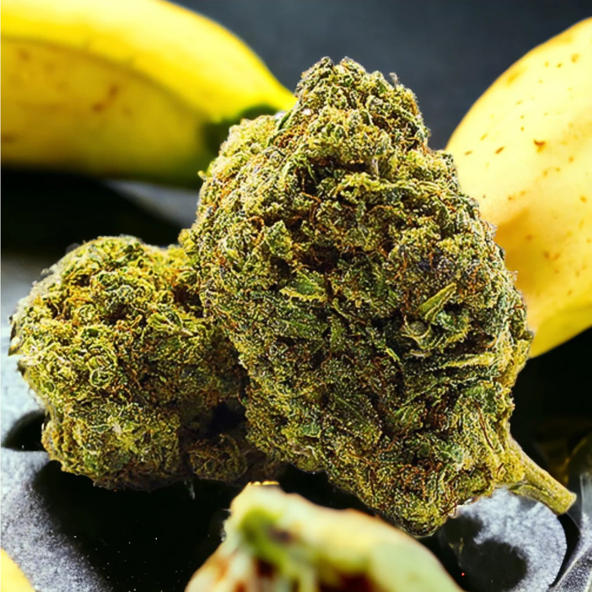 Banana Cake CBD Blüten