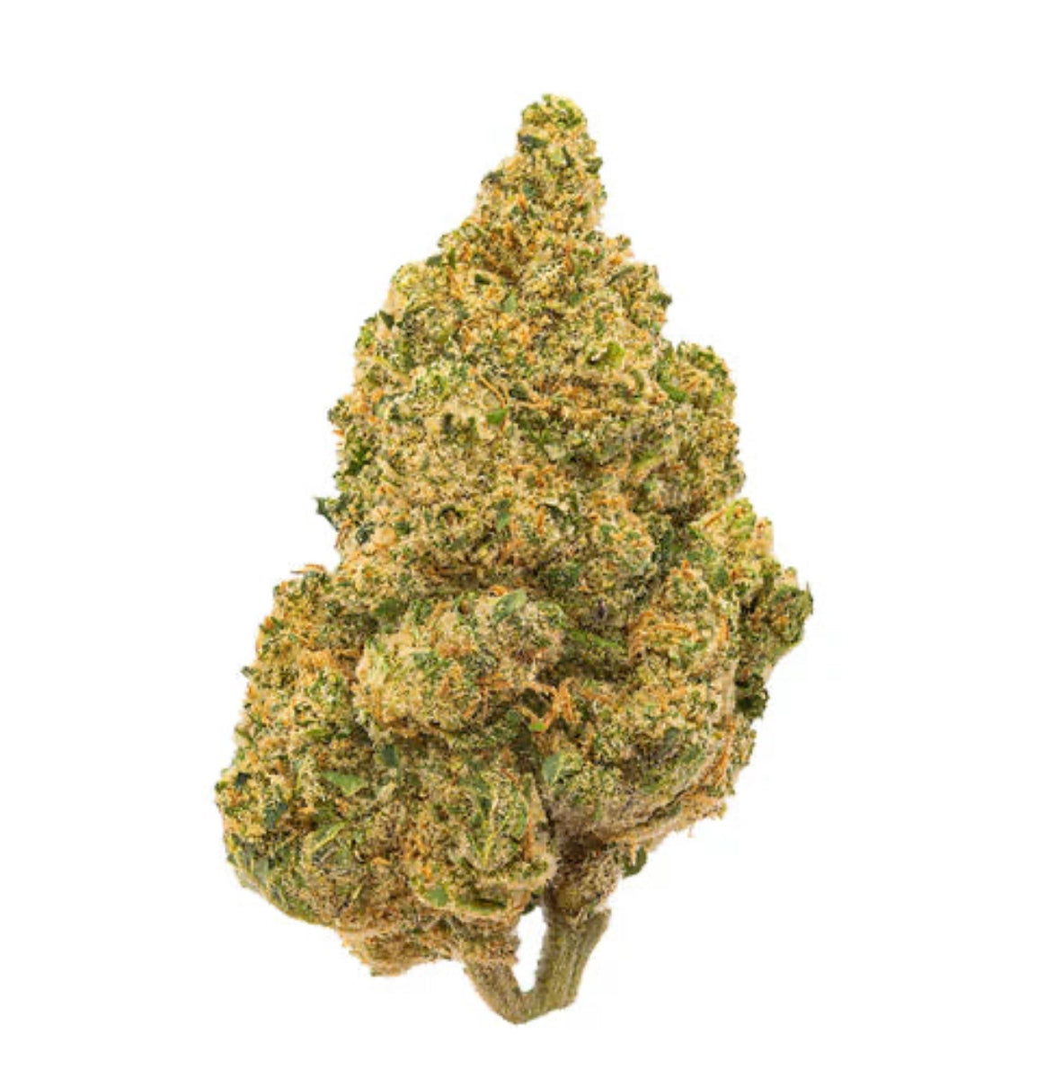 avibes® Mango Bomb Blüten | 12-15% CBD