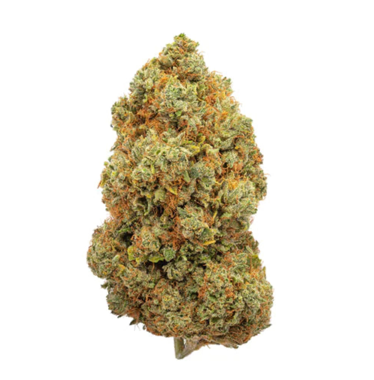 avibes® Master Kush Blüten | 12-15% CBD
